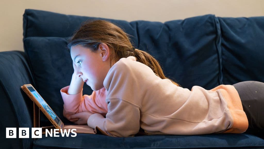 When will social media ban start, and which apps will be affected?