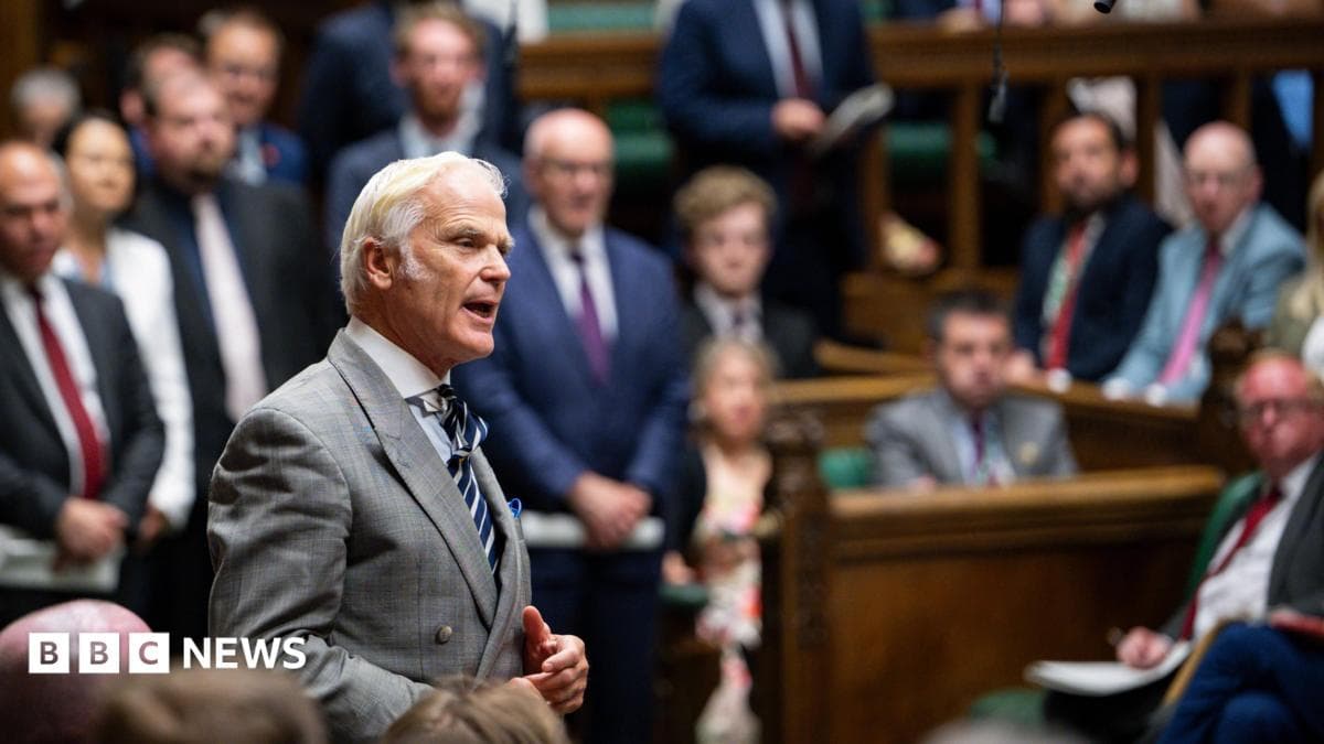 Commons tale of lion, nurse and bottle of champagne